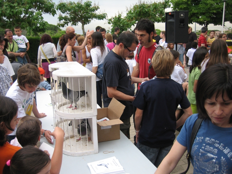 Imagen 004.jpg